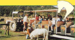 ride the valley tractor train